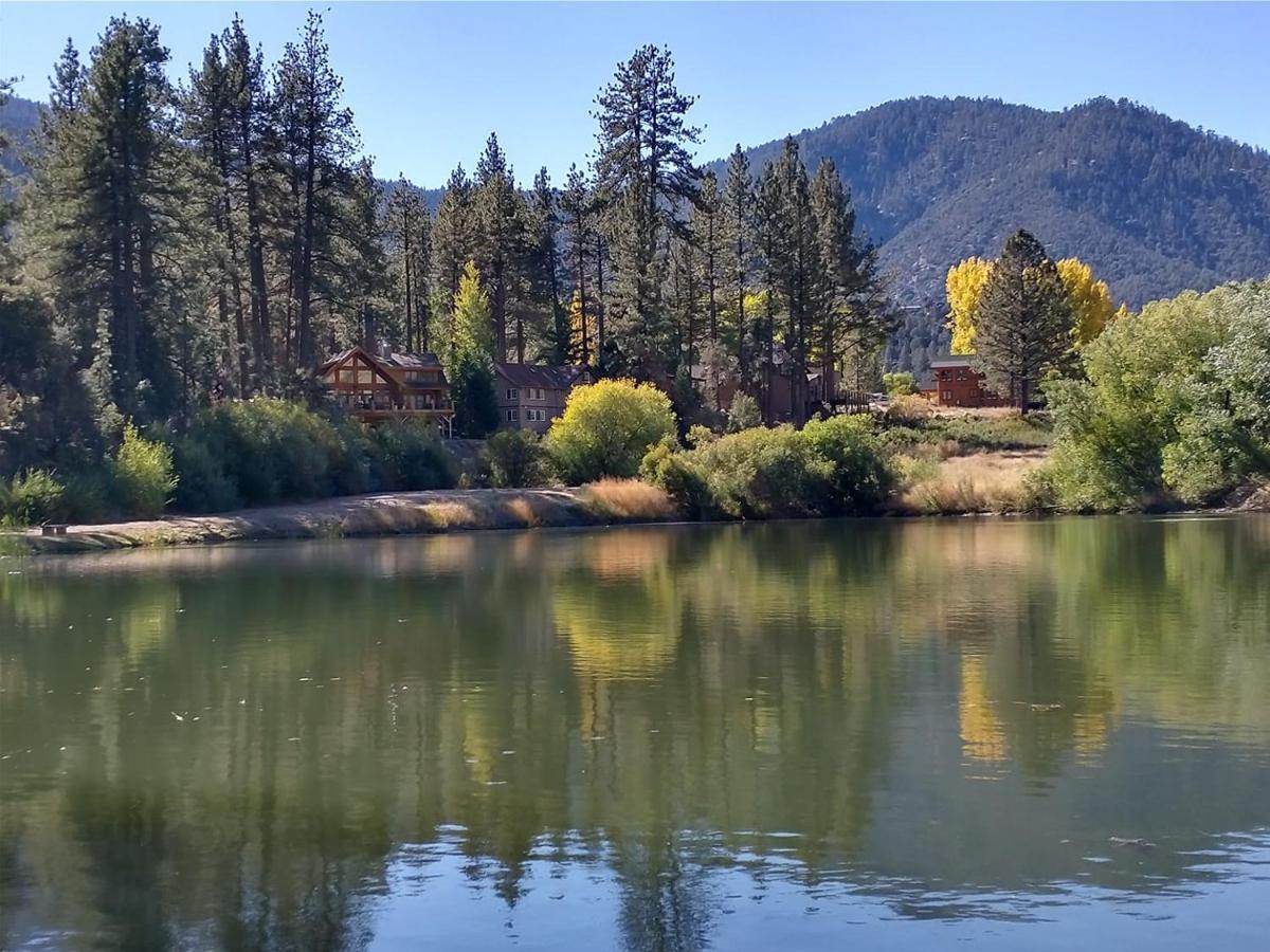 The Old Bear Bnb Pine Mountain Club 외부 사진