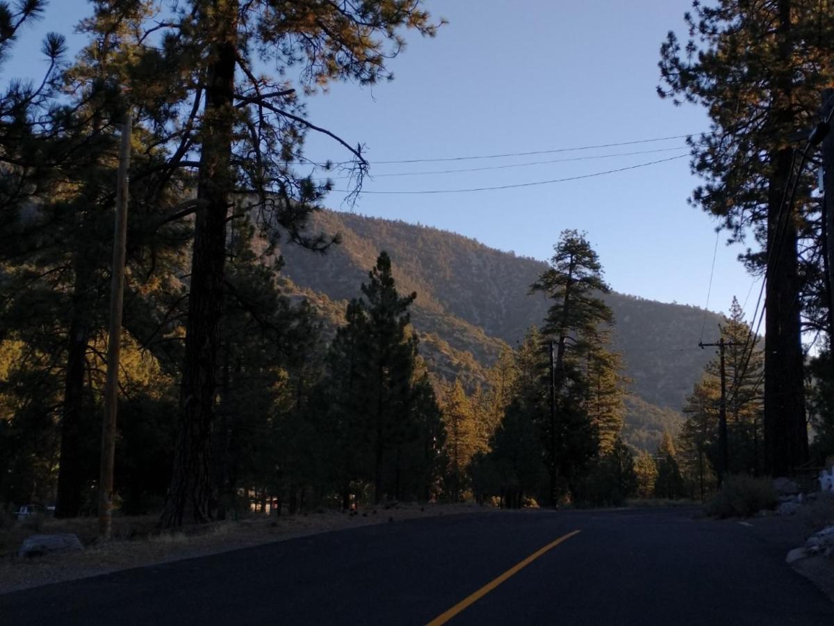The Old Bear Bnb Pine Mountain Club 외부 사진