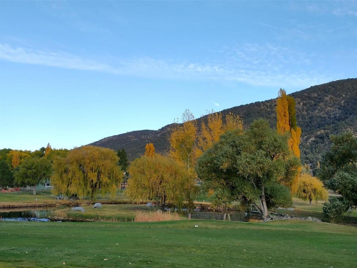 The Old Bear Bnb Pine Mountain Club 외부 사진